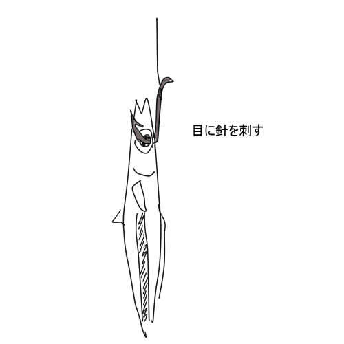 キビナゴ釣り 餌 で釣果アップ 仕掛けの作り方と付け方をご紹介 Kurashi No