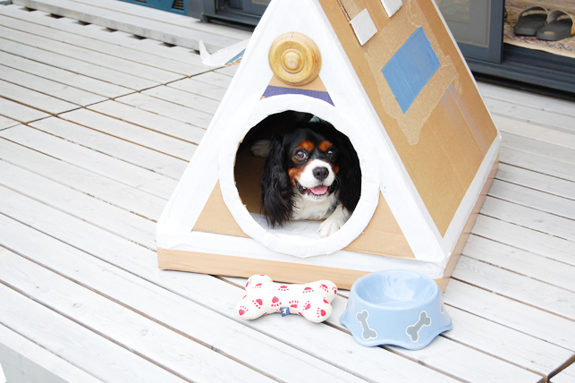 犬小屋だってdiy 飼い犬も喜ぶ簡単にできるおしゃれなお家の作り方 暮らし の