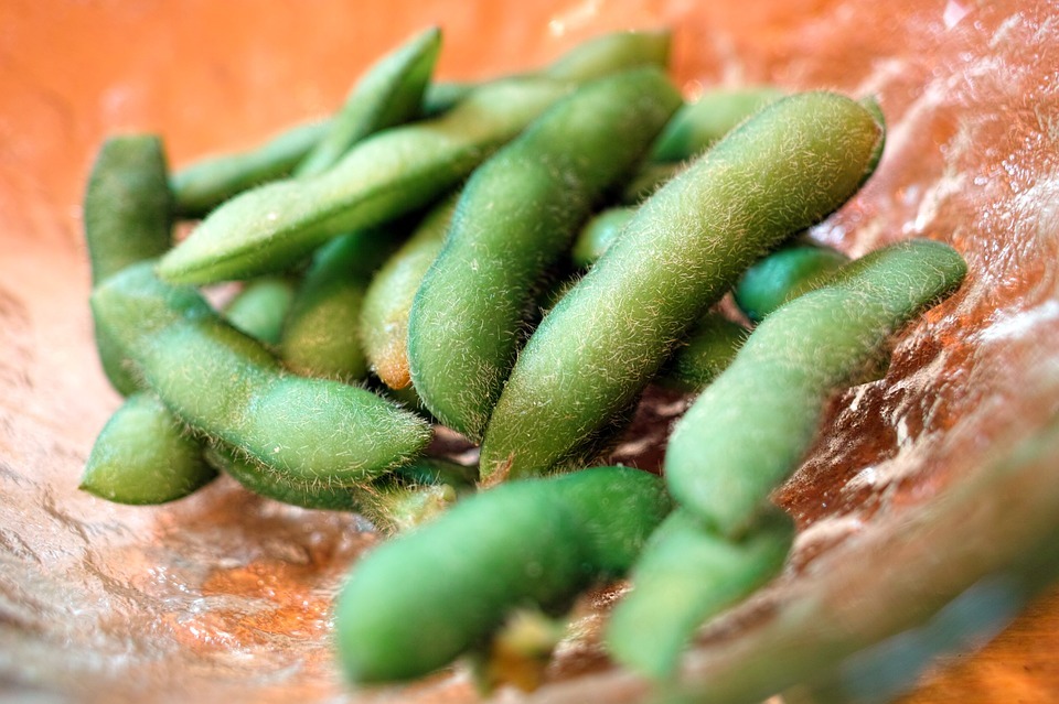 枝豆のプランター栽培ガイド 家庭菜園で行う失敗しない育て方をご紹介 暮らし の