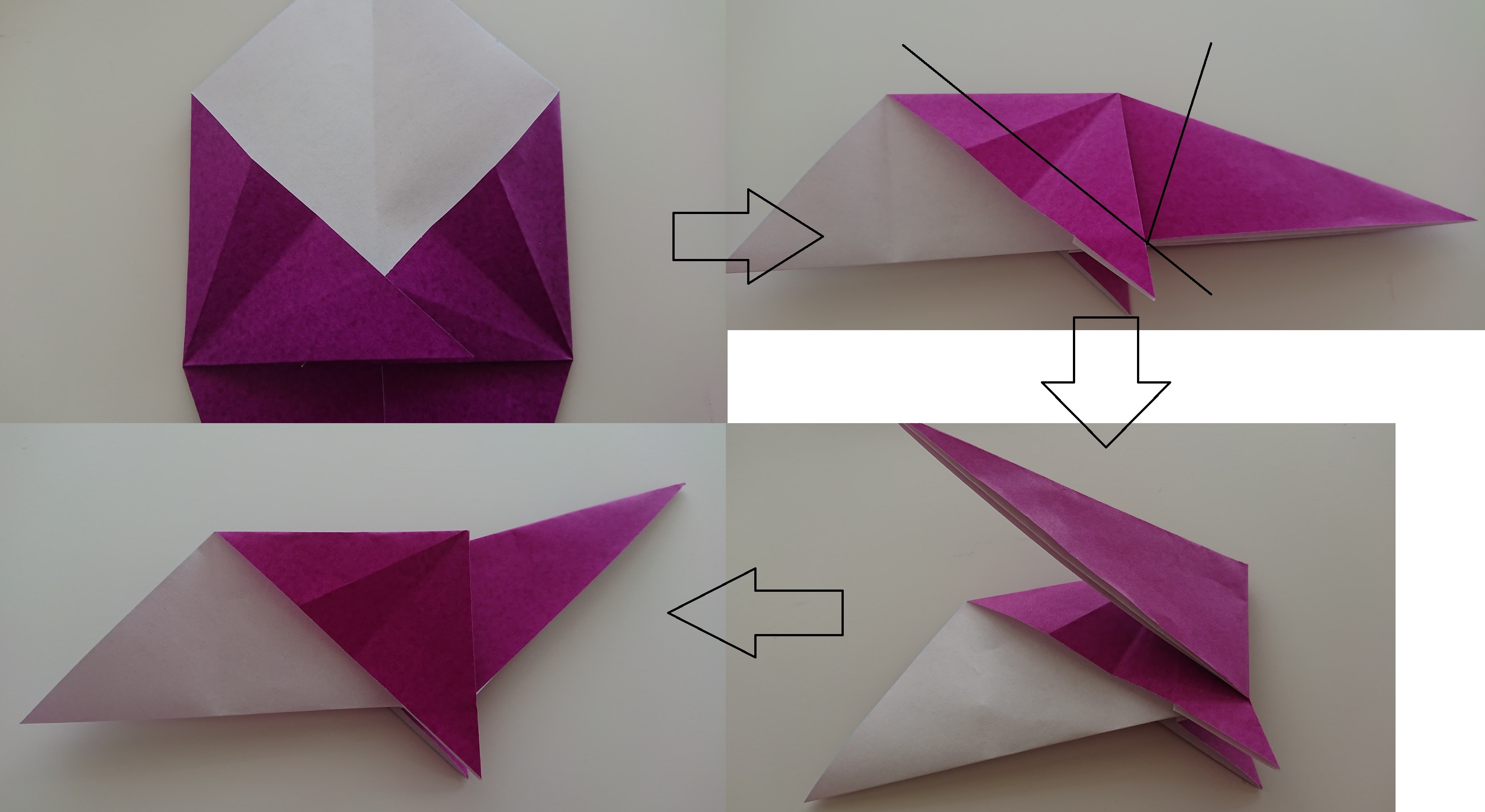 折り紙で作る 恐竜 まとめ かっこいい人気の種類の折り方をご紹介 2ページ目 暮らし の