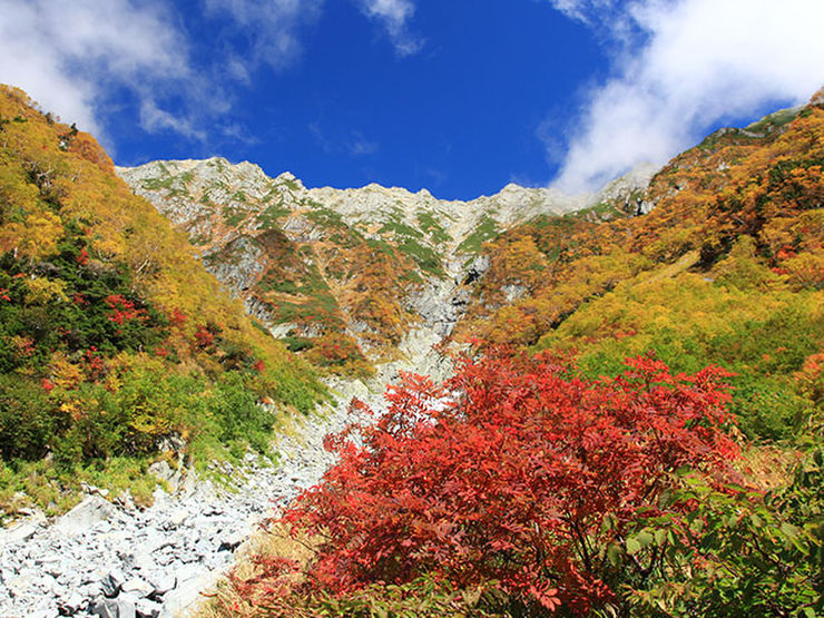 秋の岳沢