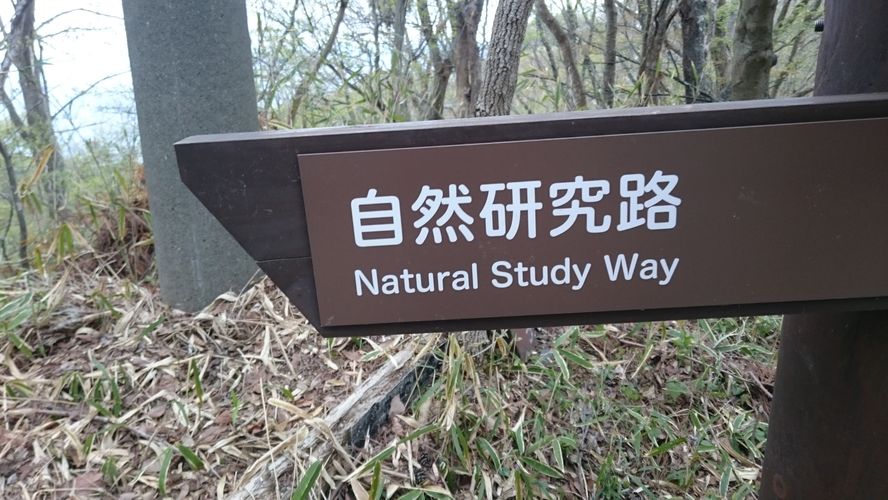 自然研究路