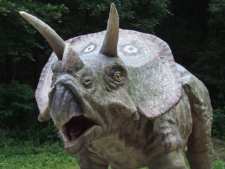 トリケラトプスの像