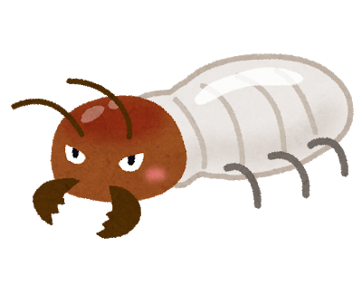 シロアリ ゴキブリ 羽アリの違いは 気持ち悪すぎる害虫の予防 駆除方法を解説 暮らし の