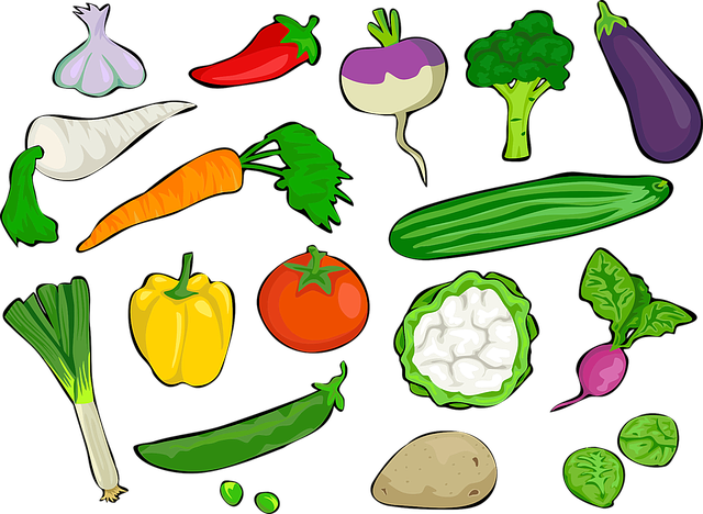家庭菜園初心者のための肥料ガイド！おすすめ種類や選び方、使い方までサクッと解説！ | 暮らし〜の