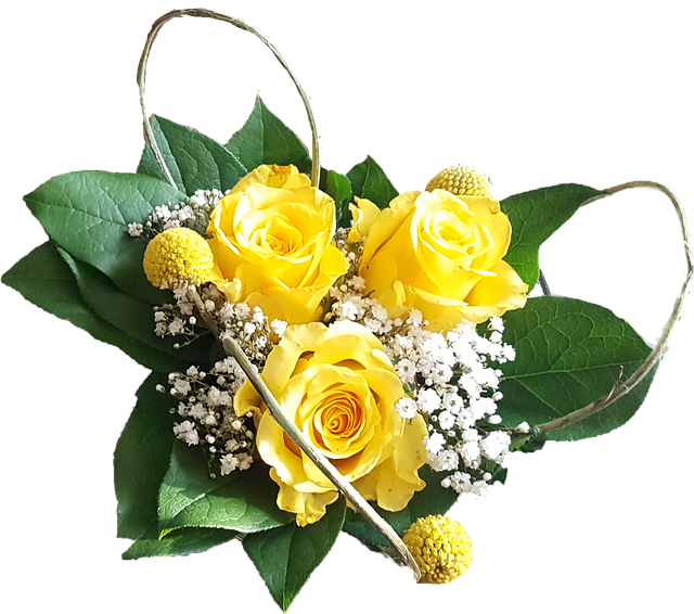 黄色いバラの花言葉は 気になる由来や意味と見頃の時期 贈るタイミングを解説 暮らし の