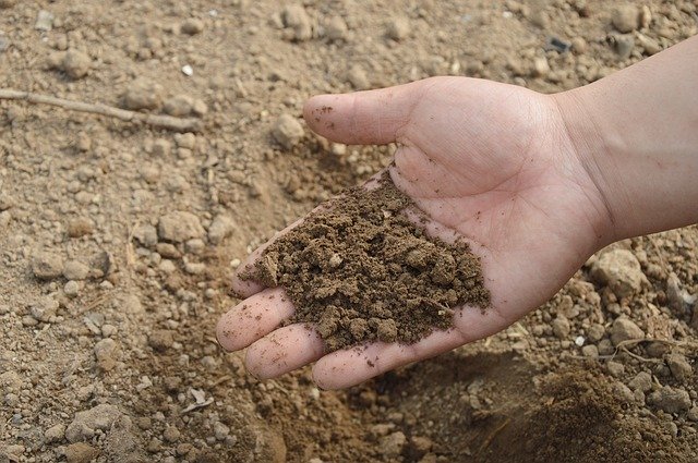 捨てるなんてもったいない！プランターの古い土を簡単に再生・再利用する方法を伝授！ | 暮らし〜の