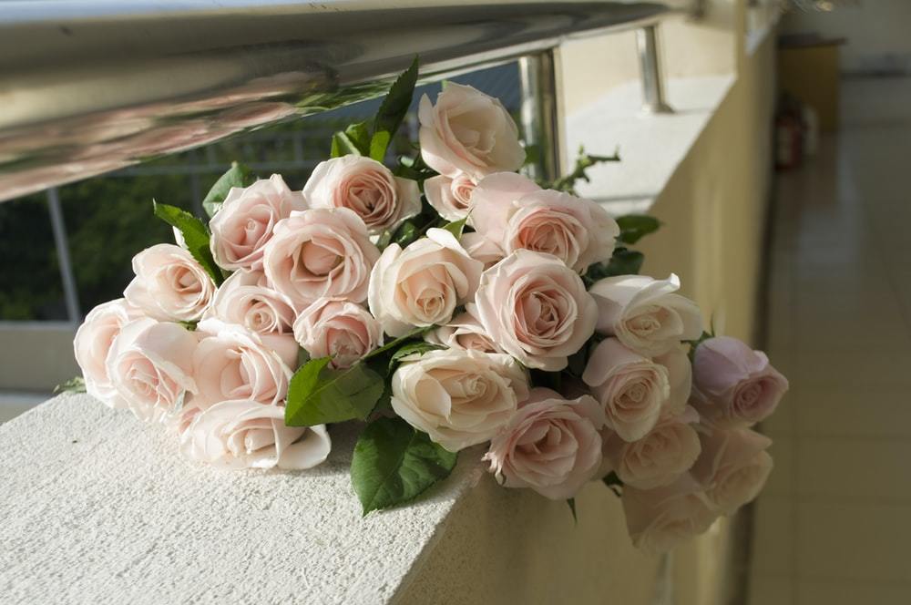 連載 前編 香りのいいバラの切り花はどれ 花屋で買える香りの種類を紹介 暮らし の