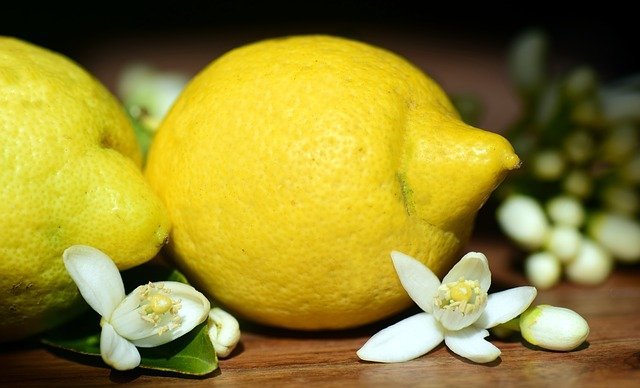 レモン 檸檬 の花言葉まとめ 花と果実別に花言葉の意味や由来をご紹介 暮らし の