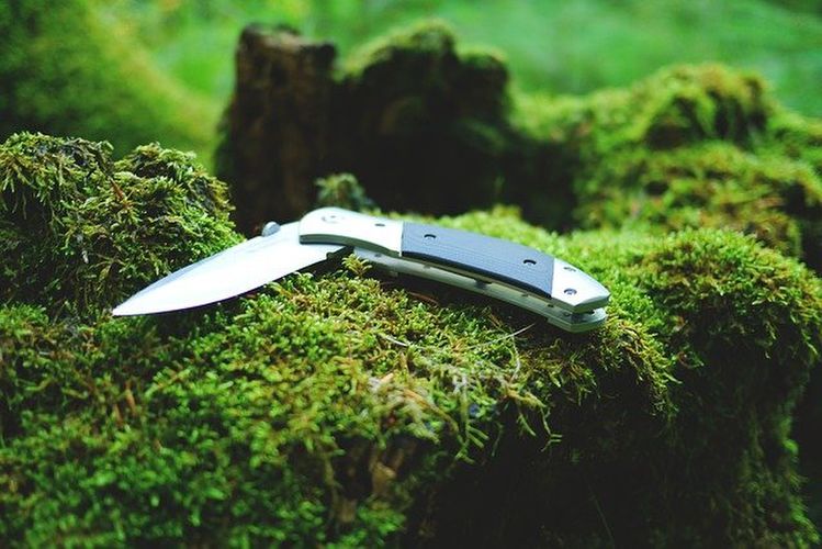 苔の上に置かれたナイフ