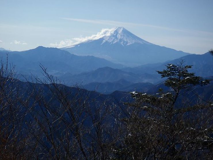 三頭山からの富士