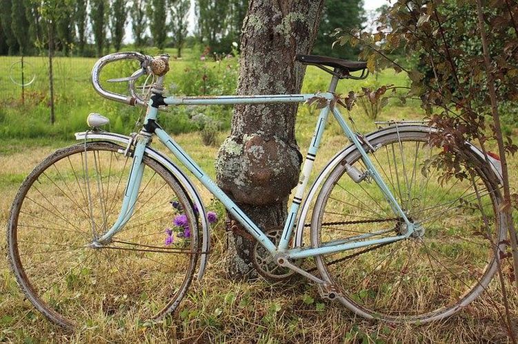 木にもたれかかった自転車