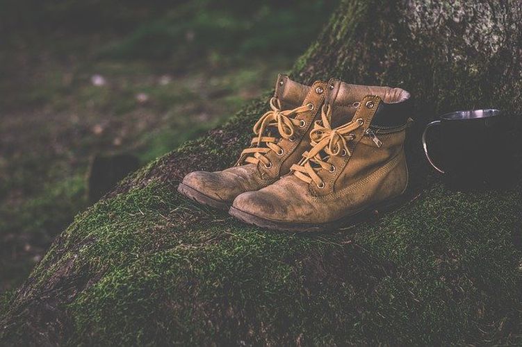 木の根本に置かれた登山靴