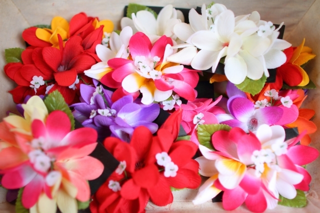 南国の香りといえばコレ プルメリアの花言葉をご紹介 ハワイとの関係も解説 Kurashi No