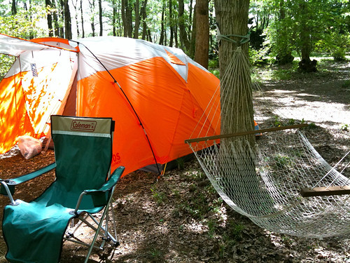 木陰に設営されたテント