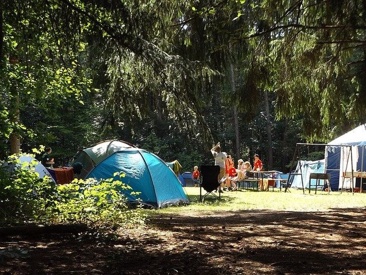 森林でキャンプをする人たち