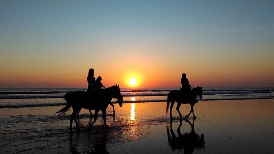 海辺で乗馬をする人たち