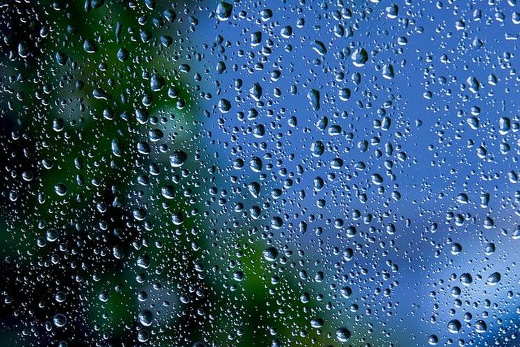窓についた雨の水滴