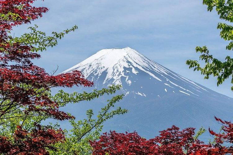 紅葉の中の富士山
