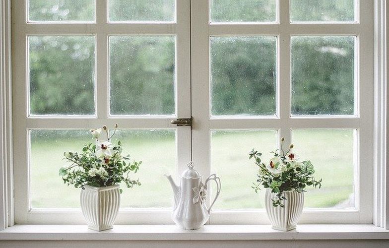 観葉植物のある窓辺