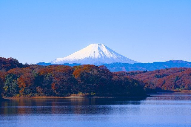 北海道の定番お土産 まりもは成長する 育て方や本物と偽物の見分け方を解説 暮らし の