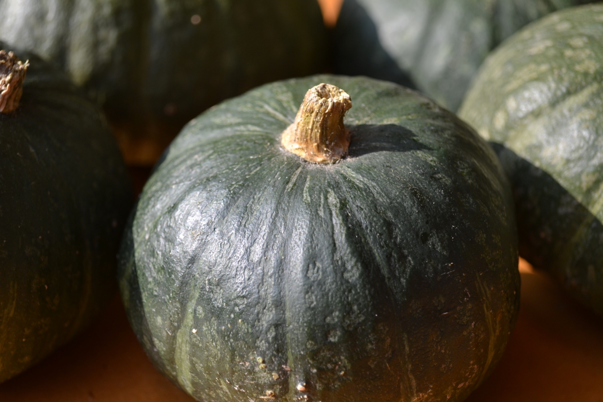 かぼちゃのベストな収穫時期は タイミングの目安 見極めの2つのポイントも解説 暮らし の