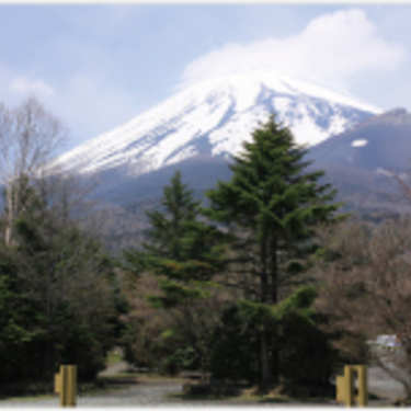 トレッキングポールおすすめ選 登山ストックの選び方と使い方 暮らし の