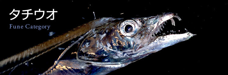 太刀魚ワインド釣法とは 仕掛けやおすすめタックル ロッド リール 暮らし の