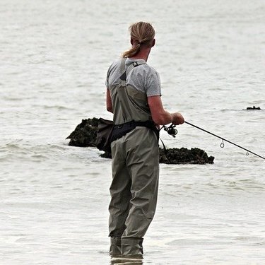 投げ釣り仕掛け 竿から結び方 狙う魚についてもご紹介 暮らし の