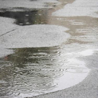 雨の方が釣れやすい 雨の日に釣りをする メリット デメリット を解説 注意点も 暮らし の