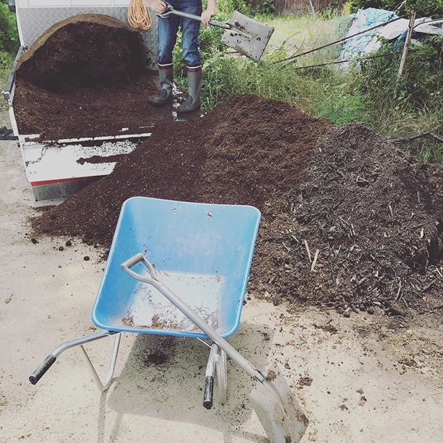 バーク堆肥とは 効果や特徴をおさえて正しい使い方をマスターしよう 暮らし の