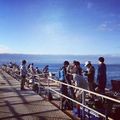 【関東】海釣りができる公園おすすめ8選！初心者でも楽しめる魅力が盛りだくさん！