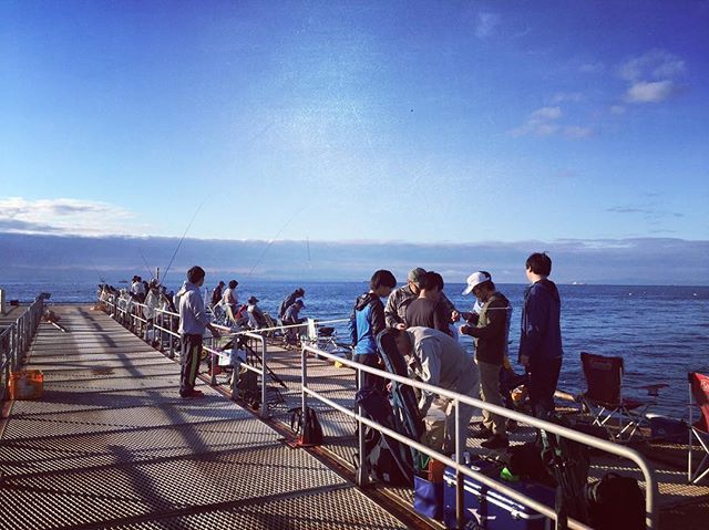 関東 海釣りができる公園おすすめ8選 初心者でも楽しめる魅力が盛りだくさん 暮らし の
