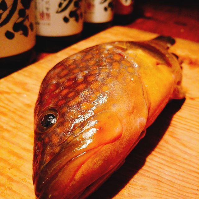 高級魚のキジハタ アコウ 捌き方のコツや簡単 美味しいおすすめレシピをご紹介 暮らし の