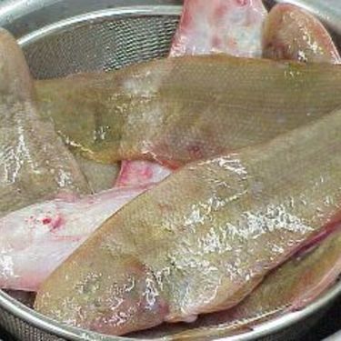 魚種類図鑑 舌平目 したびらめ 特集 さばき方や釣り方もご紹介 暮らし の