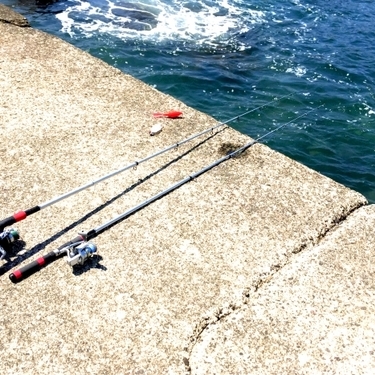 海釣りにおすすめの竿とは 選び方と種類別に厳選おすすめ５選をご紹介 暮らし の