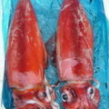 巨大イカ「ソデイカ（タルイカ）」の釣り方と食べ方とは？美味しいの？