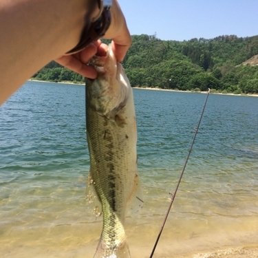 琵琶湖のバス釣りガイド 琵琶湖で釣果をあげるコツなどをご紹介 暮らし の