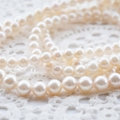真珠を作る貝「アコヤガイ」とは？その生態と真珠が出来るまでの工程を解説！