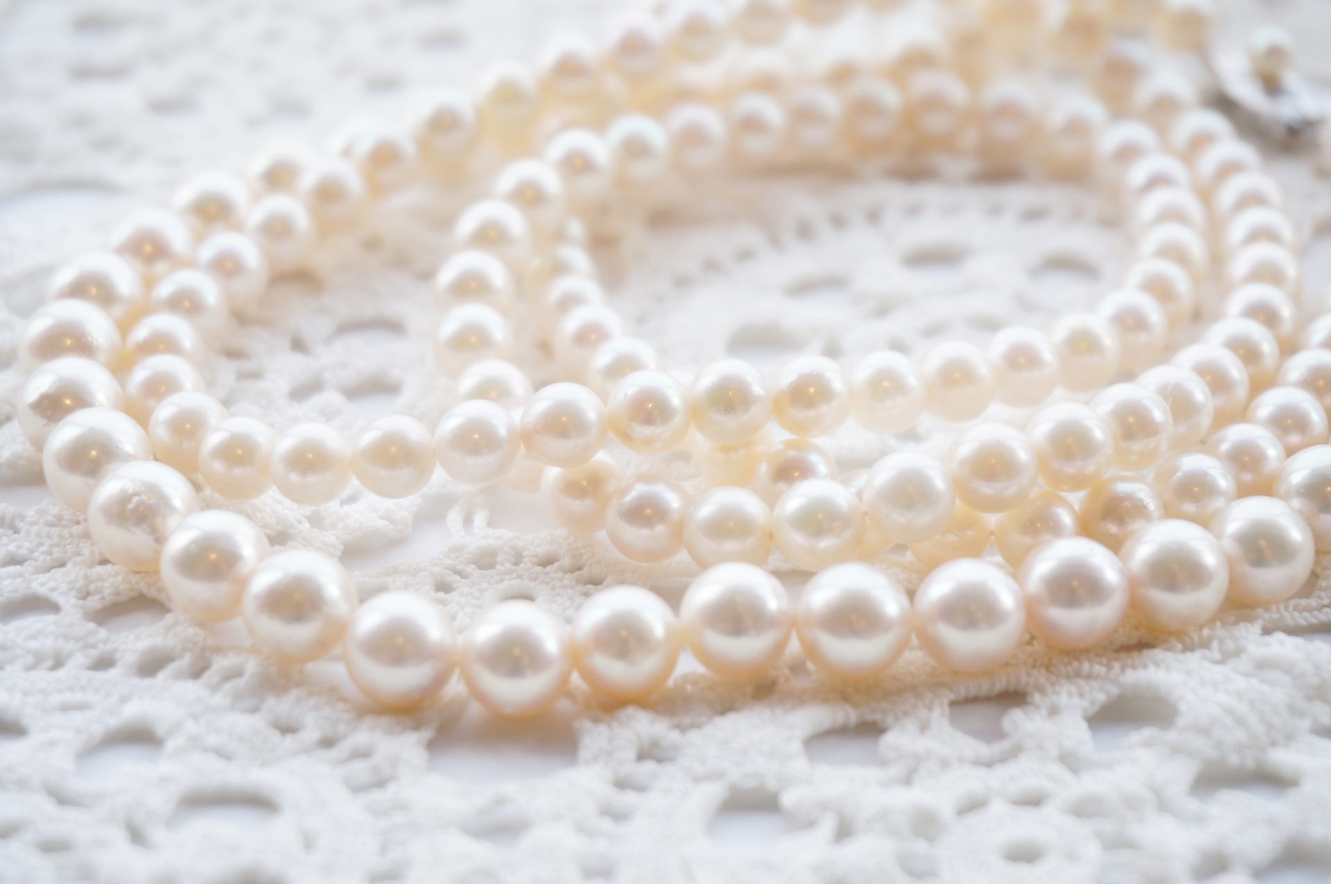 真珠を作る貝「アコヤガイ」とは？その生態と真珠が出来るまでの工程を解説！ | kurashi-no