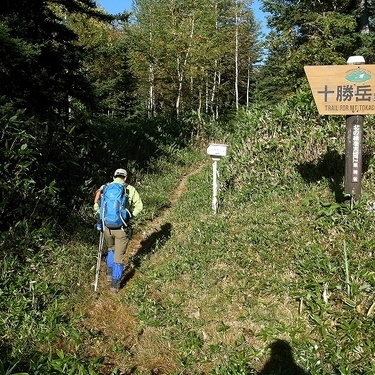 十勝岳の登山ルート徹底解説 展望台や温泉が楽しめるコースとは 暮らし の