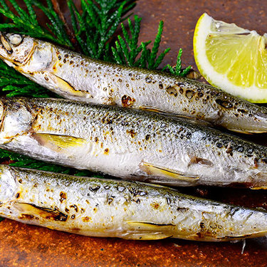 キュウリウオってどんな魚 その生態 食べ方 釣り方まで徹底紹介 暮らし の