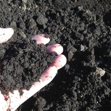 黒土とは その使い方や用途を解説 気になる赤土との違いや混ぜ方も 暮らし の