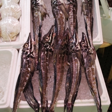 見た目が凄い 八角 とは 北海道の美味しい魚の正体と食べ方をご紹介 暮らし の