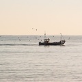 手ぶらでOK！熱海の釣り船「裕海丸」で家族でも楽しめる船釣り体験をしよう！