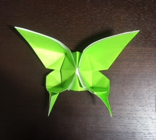 折り紙のちょうちょ 蝶々 折り方まとめ 簡単な平面 難しい立体まで解説 暮らし の