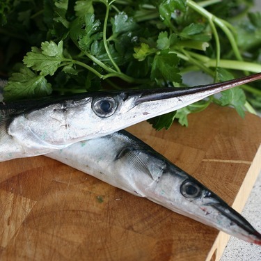 釣りでの被害も続出 危険な魚 ダツ とは その生態と美味しい食べ方を解説 暮らし の