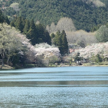 栃木県のキャンプ場おすすめランキング１３選 高規格 温泉も楽しめる人気施設はココ 暮らし の