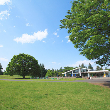 ピクニック 公園デートの持ち物と必需品リスト おしゃれアイテムはこれだ Kurashi No