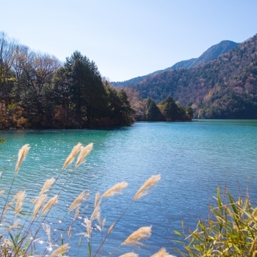 栃木ドライブで周りたい観光名所や絶景スポット30選 見どころ含めてご紹介 暮らし の